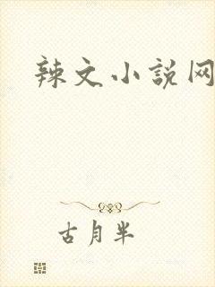辣文小说网