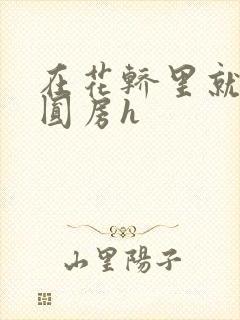 在花轿里就开始圆房h