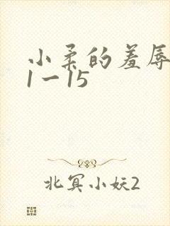 小柔的羞辱日记1一15