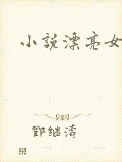 小说漂亮女局长