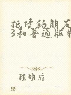 抵债的朋友麦子3和普通版对比