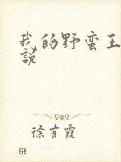 我的野蛮王妃小说
