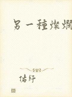 另一种灿烂生活