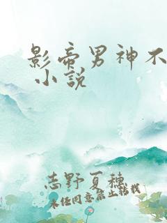 影帝男神不节制 小说