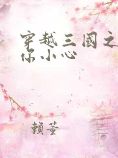 穿越三国之孔明你小心