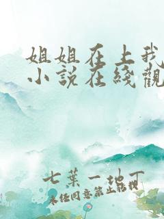 姐姐在上我在下小说在线观看