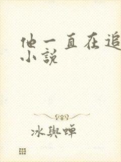 他一直在追初恋小说