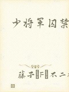 少将军囚禁我