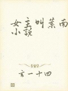 女主叫叶南初的小说