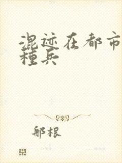 混迹在都市的特种兵