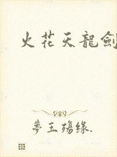 火花天龙剑
