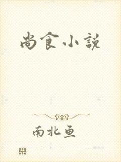 尚食小说