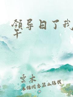 领导日了我一下午