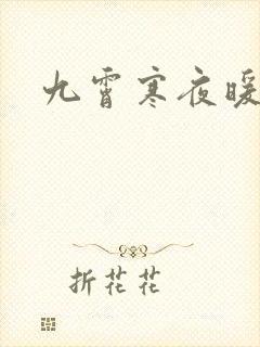 九霄寒夜暖小说