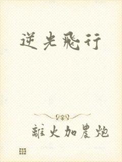逆光飞行