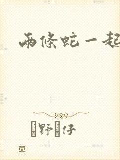 两条蛇一起要我