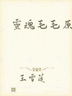 灵魂毛毛原文
