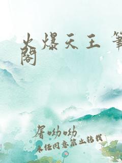 火爆天王 笔趣阁