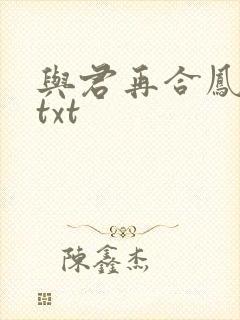 与君再合凤求凰txt
