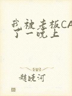 我被老板CAO了一晚上