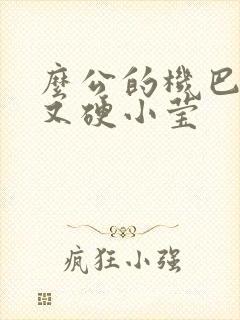 么公的机巴又粗又硬小莹