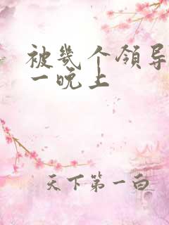 被几个领导玩弄一晚上