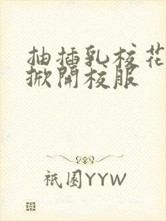 抽插乳校花老师掀开校服