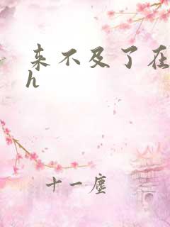 来不及了在车ch