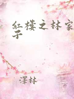 红楼之林家庶长子