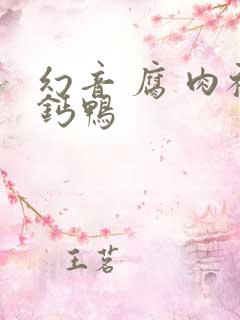 幻音 腐 肉补钙鸭