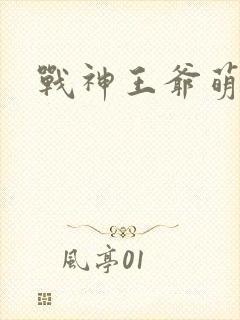 战神王爷萌虎妃