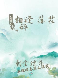 囍相逢 落花能几醉