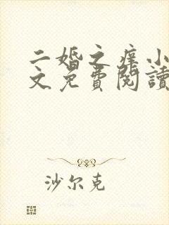 二婚之痒小说全文免费阅读