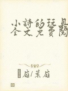 小诗的玩具日记全文免费阅读