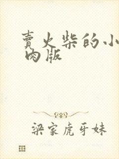 卖火柴的小男孩 肉版