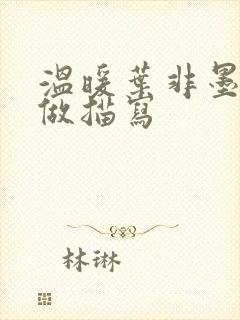 温暖叶非墨车内做描写