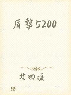 盾击5200