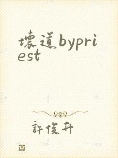坏道bypriest