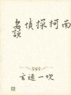 名侦探柯南h小说