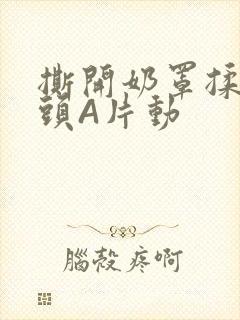 撕开奶罩揉吮奶头A片动