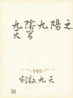 九阴九阳之武战天穹