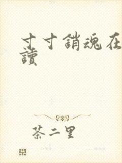 寸寸销魂在线阅读