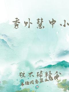 秀外慧中小说