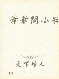 爷爷开小米的包