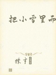 把小雪里面整满