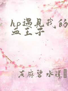 hp遇见我的混血王子