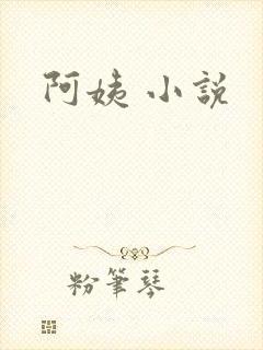 阿姨 小说