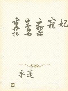 重生之宠妃白莲花名器