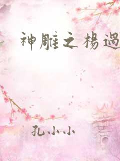 神雕之杨过新传