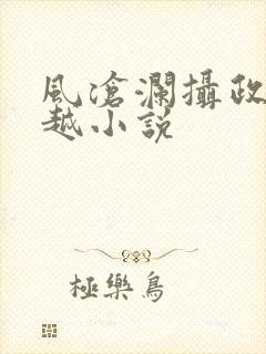 风沧澜摄政王穿越小说